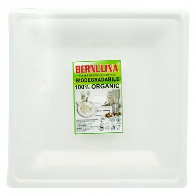 Set Farfurii Biodegradabile patrate 10" (26 *26 cm) 6 buc.